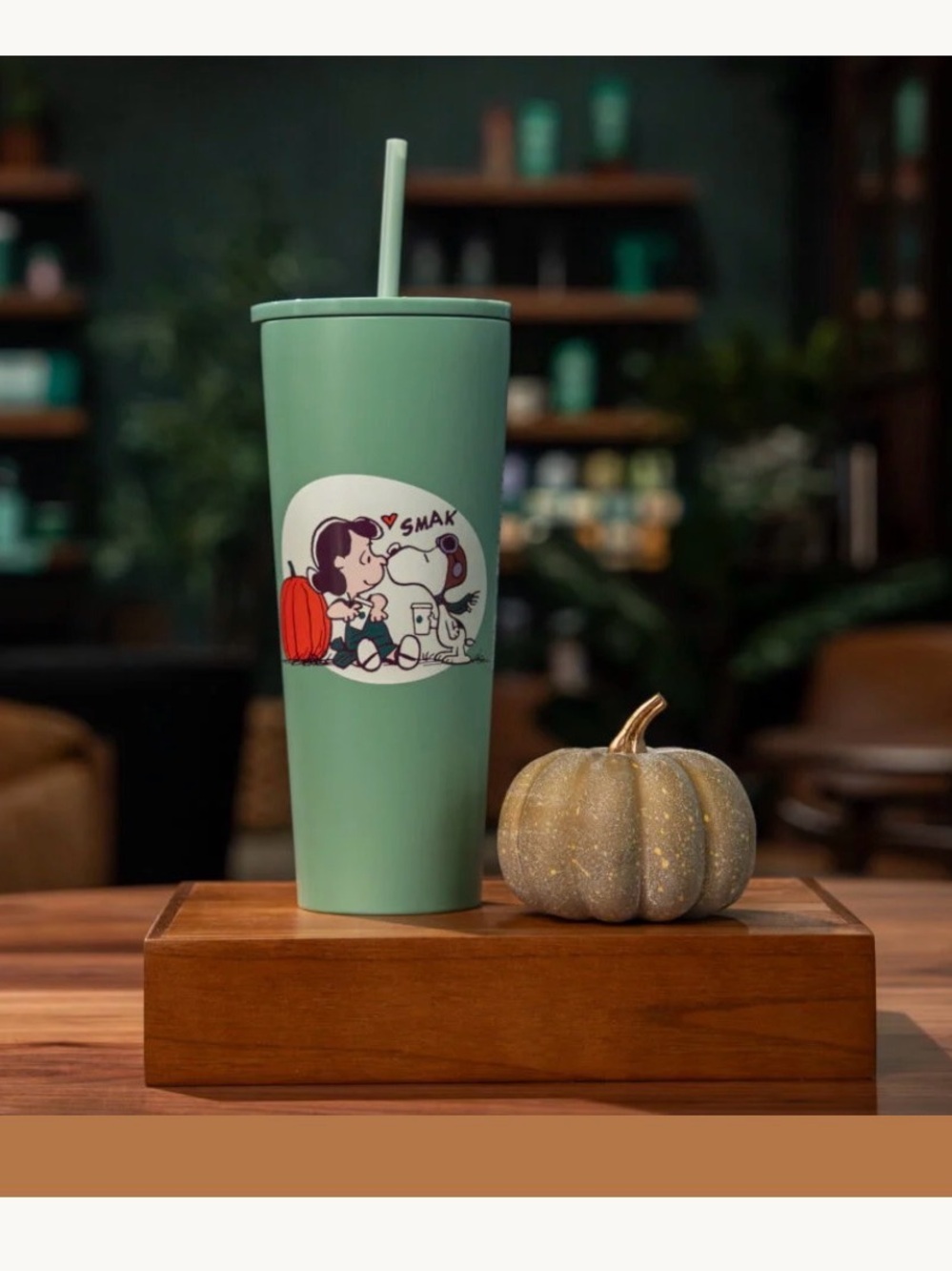 Limited Edition NWT Starbucks Mint Green Tumbler with Snoopy Cartoon Graphic
